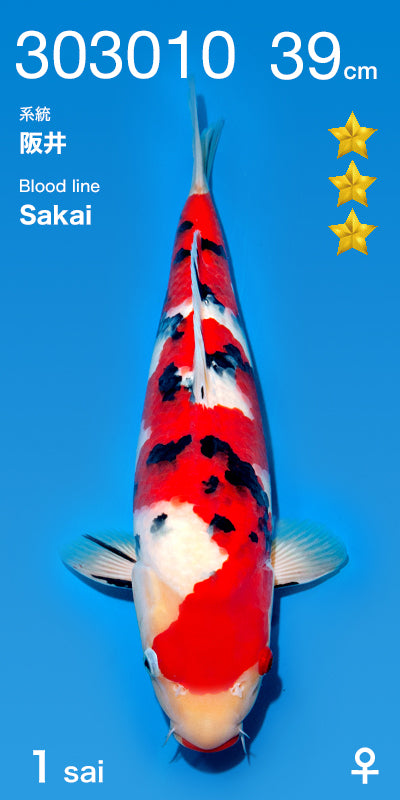 Sanke