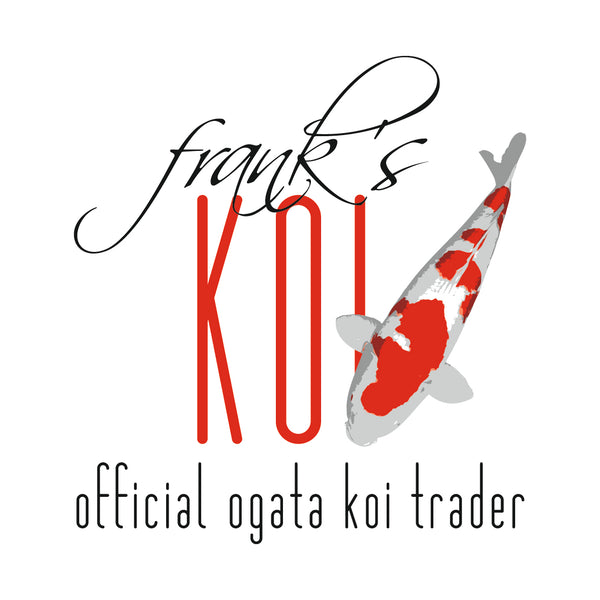 Frank‘s Koi